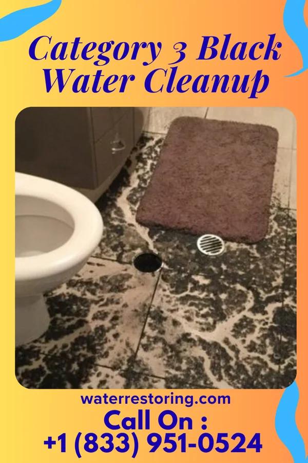 Category 3 Black Water Cleanup in Elizabeth Lake, CA